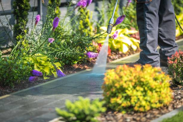 Best Pre-Holiday Cleaning  in Pollock Pines, CA